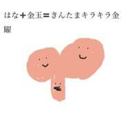 ヒメ日記 2025/09/12 12:03 投稿 はな 池袋コスプレサンシャイン（シンデレラグループ）