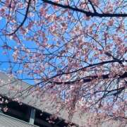 ヒメ日記 2025/03/20 13:45 投稿 まりん 萌えコス