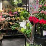 ヒメ日記 2025/04/28 15:15 投稿 まりん 萌えコス