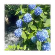 ヒメ日記 2025/06/10 15:45 投稿 まりん 萌えコス