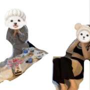 ヒメ日記 2025/08/13 20:18 投稿 りんご Grace東京