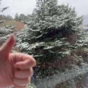 ヒメ日記 2026/02/17 10:07 投稿 りんご Grace東京