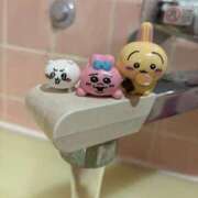 ヒメ日記 2025/02/12 19:56 投稿 みか CECIL