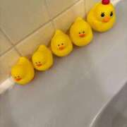 ヒメ日記 2025/04/17 09:17 投稿 みか CECIL