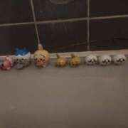 ヒメ日記 2025/05/15 20:10 投稿 みか CECIL