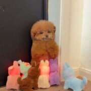 ヒメ日記 2025/07/04 14:42 投稿 みか CECIL