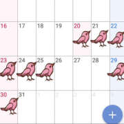 ヒメ日記 2025/03/19 13:59 投稿 ひよこ 恋愛生欲情の扉