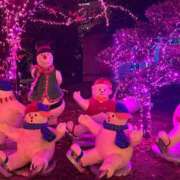 ヒメ日記 2024/12/10 11:12 投稿 中沢 るか YUDEN〜油殿〜谷九・日本橋店