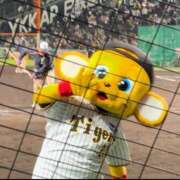 ヒメ日記 2025/03/28 15:03 投稿 中沢 るか YUDEN〜油殿〜谷九・日本橋店