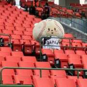 ヒメ日記 2025/11/17 10:30 投稿 中沢 るか YUDEN〜油殿〜谷九・日本橋店