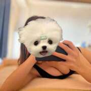 ヒメ日記 2025/05/24 02:04 投稿 茉弥（まや） Shiny