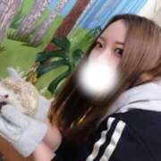 ヒメ日記 2025/05/05 12:34 投稿 はるか※絡みつく濃厚フェラ 即イキ淫乱倶楽部 柏店