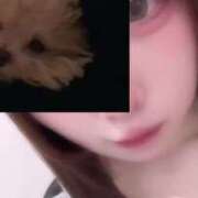 ヒメ日記 2025/04/27 17:43 投稿 りん 手コキガールズコレクション