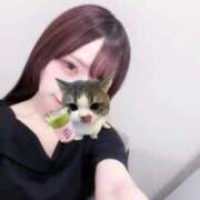 ヒメ日記 2025/08/16 14:04 投稿 りん 手コキガールズコレクション