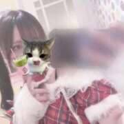 ヒメ日記 2025/10/12 13:53 投稿 りん 手コキガールズコレクション