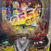 ヒメ日記 2025/07/08 18:04 投稿 白石ゆきね フェアリードール