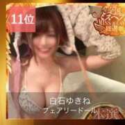 ヒメ日記 2025/12/03 13:53 投稿 白石ゆきね フェアリードール