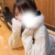 ヒメ日記 2026/04/28 14:23 投稿 白石ゆきね フェアリードール