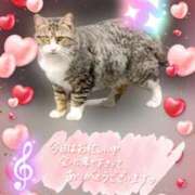 ヒメ日記 2025/01/16 21:20 投稿 いつき One More奥様 大宮店