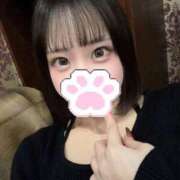 ヒメ日記 2025/12/08 09:01 投稿 ひまり ドンファン