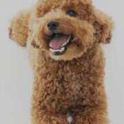 ヒメ日記 2025/06/03 16:56 投稿 もみじ 熟女の風俗最終章 八王子店