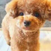 ヒメ日記 2025/07/09 06:53 投稿 もみじ 熟女の風俗最終章 八王子店