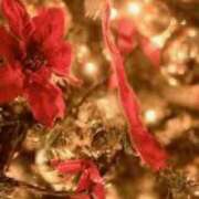 ヒメ日記 2024/12/14 09:23 投稿 もみじ 熟女の風俗最終章 所沢店