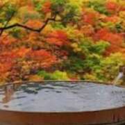 ヒメ日記 2024/12/29 16:19 投稿 もみじ 熟女の風俗最終章 所沢店