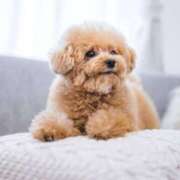 ヒメ日記 2025/05/09 17:53 投稿 もみじ 熟女の風俗最終章 所沢店