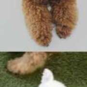 ヒメ日記 2025/08/03 11:48 投稿 もみじ 熟女の風俗最終章 所沢店