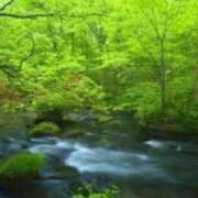 ヒメ日記 2025/01/22 16:43 投稿 もみじ 熟女の風俗最終章 立川店