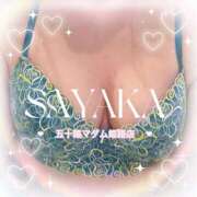 ヒメ日記 2025/04/13 17:10 投稿 国分さやか 五十路マダム姫路店