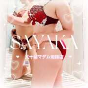 ヒメ日記 2025/08/07 09:46 投稿 国分さやか 五十路マダム姫路店