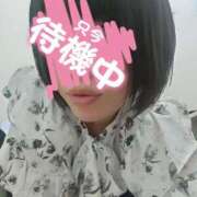 ヒメ日記 2026/03/03 13:24 投稿 あん ぷるるんマダム 難波店