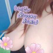 ヒメ日記 2025/03/22 09:55 投稿 るい 丸妻 新横浜店