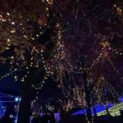 ヒメ日記 2024/12/12 20:20 投稿 くれあ 電車ごっこ