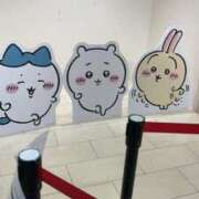 ヒメ日記 2025/02/20 10:50 投稿 くれあ 電車ごっこ