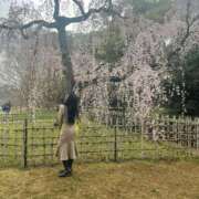 ヒメ日記 2025/03/28 19:54 投稿 くれあ 電車ごっこ