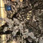 ヒメ日記 2025/04/05 18:15 投稿 くれあ 電車ごっこ