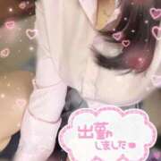 ヒメ日記 2025/04/13 11:30 投稿 くれあ 電車ごっこ