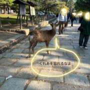 ヒメ日記 2025/05/11 23:50 投稿 くれあ 電車ごっこ