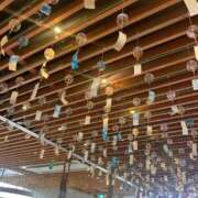 ヒメ日記 2025/06/14 17:50 投稿 くれあ 電車ごっこ