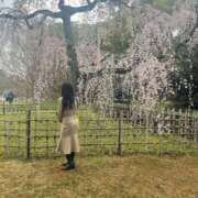 ヒメ日記 2025/06/26 08:30 投稿 くれあ 電車ごっこ