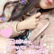 ヒメ日記 2025/07/05 11:50 投稿 くれあ 電車ごっこ