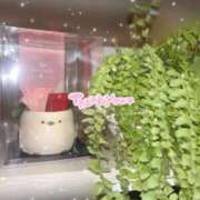 くれあ シマエナガ 電車ごっこ