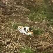 ヒメ日記 2025/12/25 21:29 投稿 くれあ 電車ごっこ