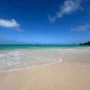 ヒメ日記 2026/01/30 08:50 投稿 くれあ 電車ごっこ