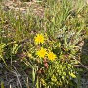 ヒメ日記 2026/03/27 11:10 投稿 くれあ 電車ごっこ