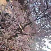 くれあ ありがとう〜❣️ 電車ごっこ