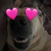 ヒメ日記 2025/07/25 12:21 投稿 しのぶ イエローキャブ